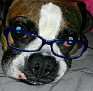 Meet your Posher, Patricia